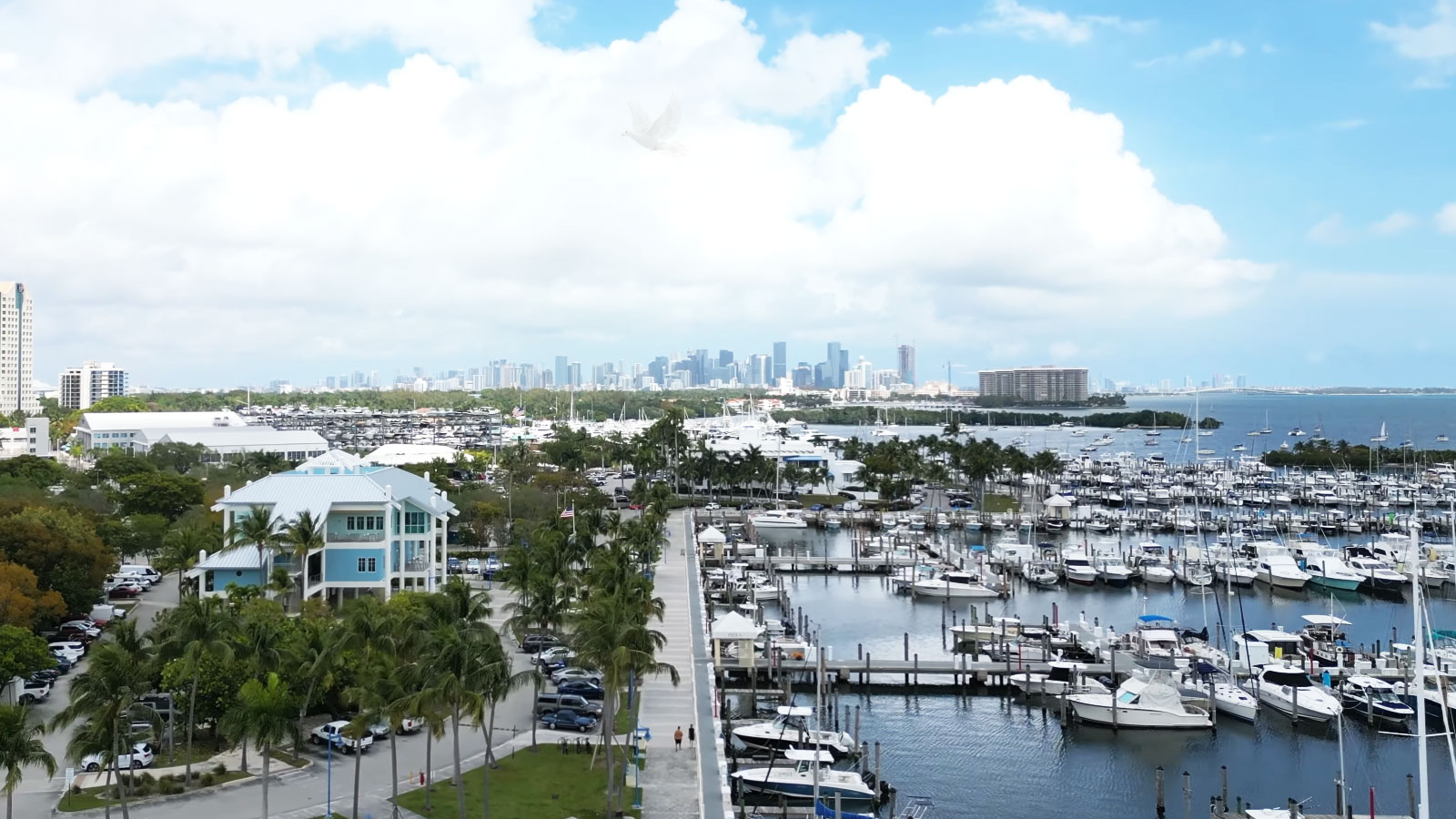 Coconut Grove marina in Florida with boats docked along the waterfront