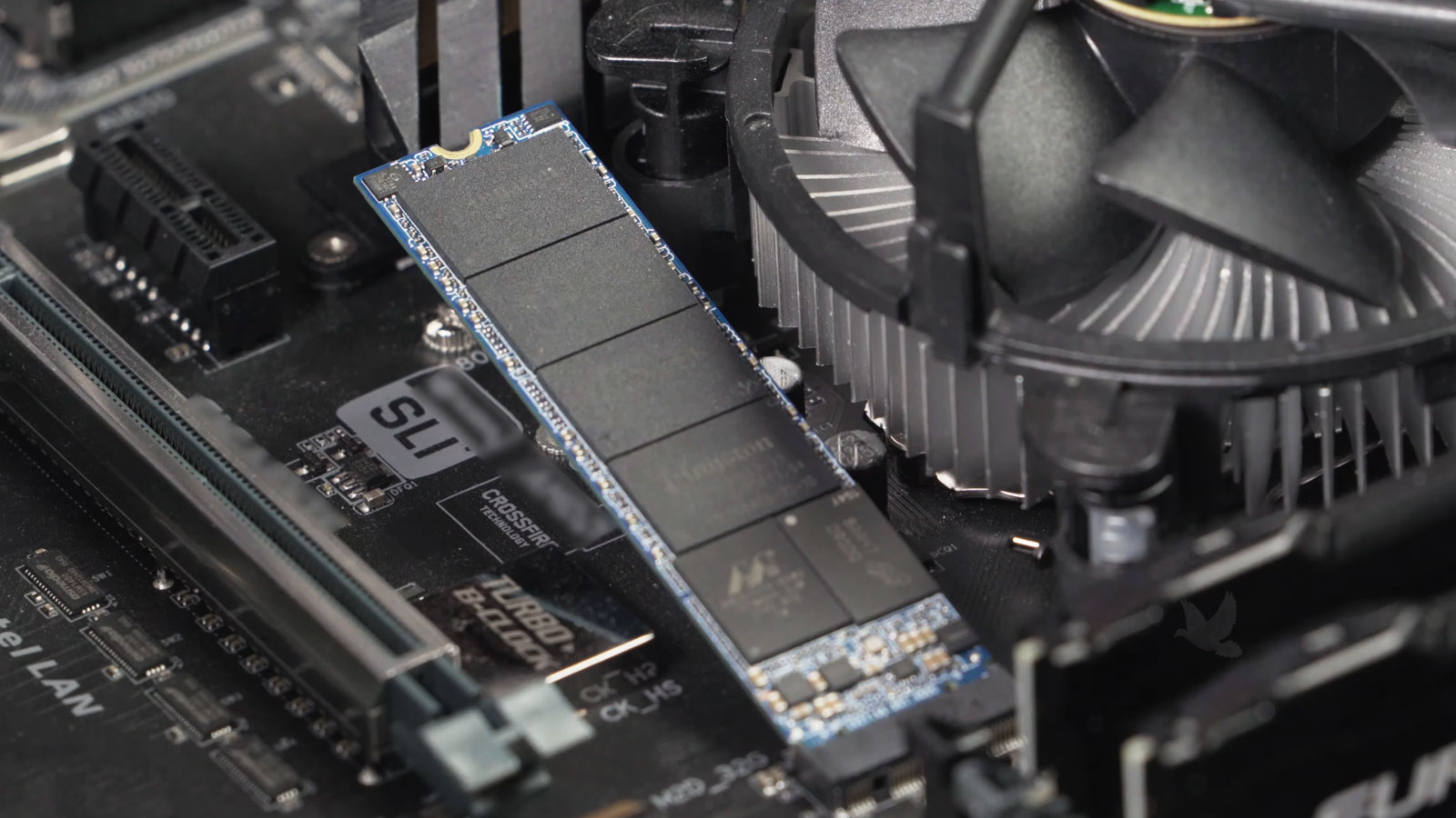 M.2 SSD lifted from a desktop motherboard and ready for removal to transfer data