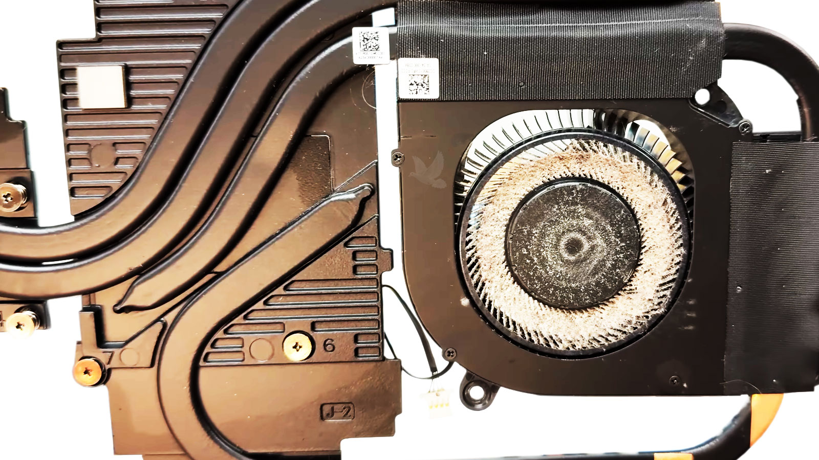 Dust buildup inside gaming laptop CPU and GPU cooling fans and heatsink