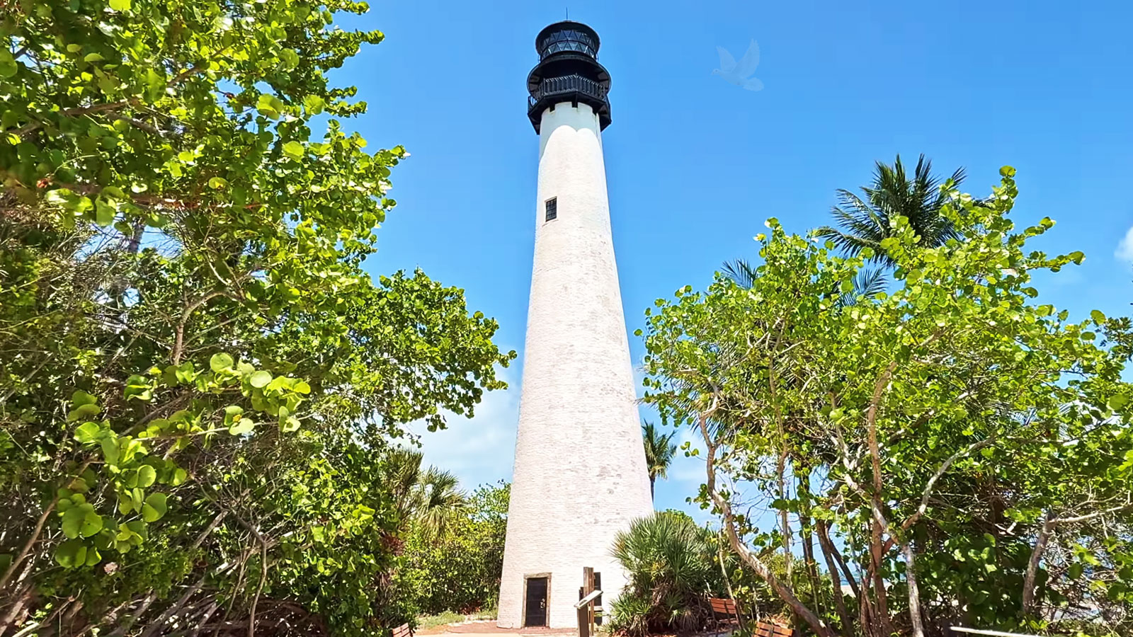 Tall historic lighthouse at Key Biscayne surrounded by tropical scenery