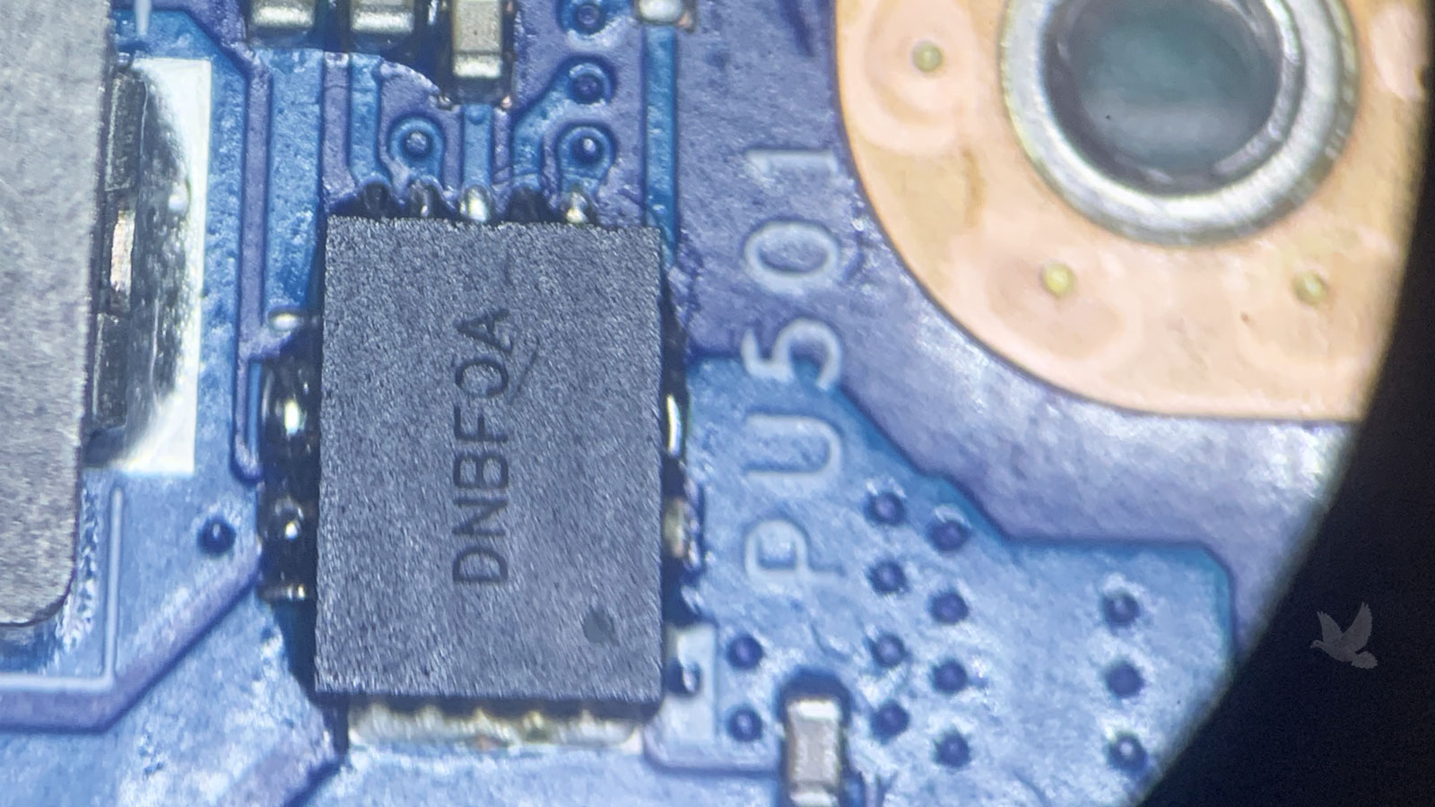 Microscopic close-up of a small electronic component showing the DNBF0A marking clearly visible on its surface.