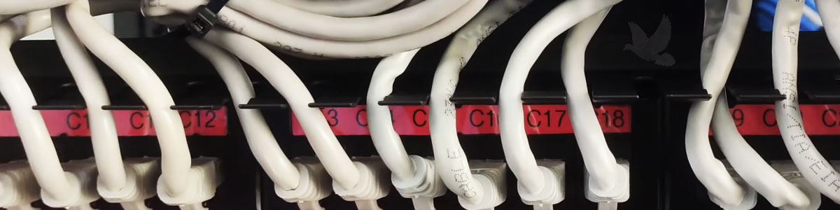 Network switch with white Ethernet cables connected to labeled network ports