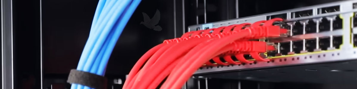 Network switches with red and blue Ethernet cables connected to active network ports