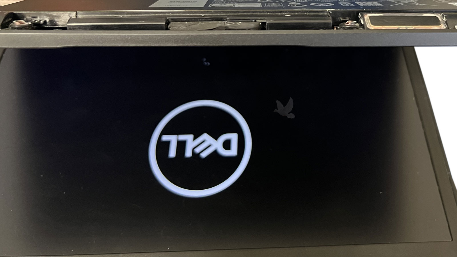Open Dell laptop powering on successfully with Dell logo displayed on screen