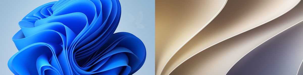 Windows 11 and macOS 27 Golden Gate shown side by side